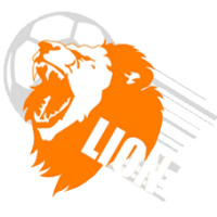 Lion Football Academy Oranje